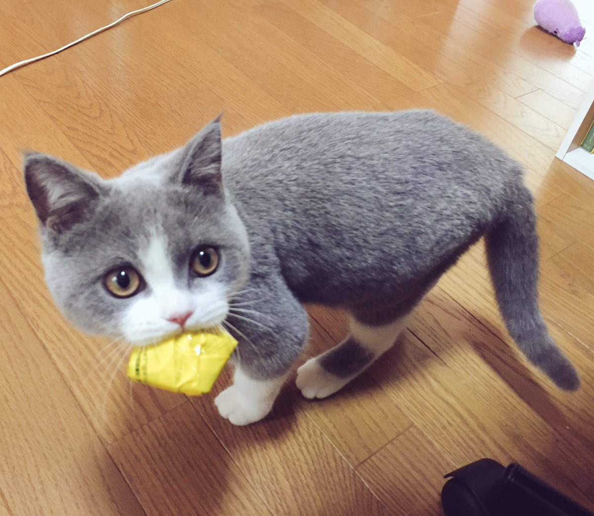 イメージ2